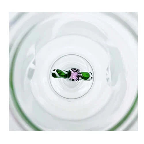 Ichendorf Milano - Bottle with lid green Cactus | Eccellenza